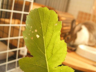 08101304.DSCF0174.jpg