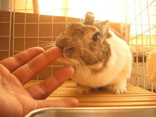 08101206.DSCF0152.jpg