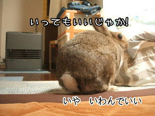 08101614.DSCF0021.jpg