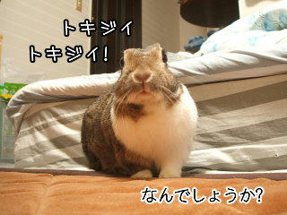 08101614.DSCF0022.jpg