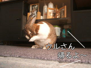 08101707.DSCF0047.jpg
