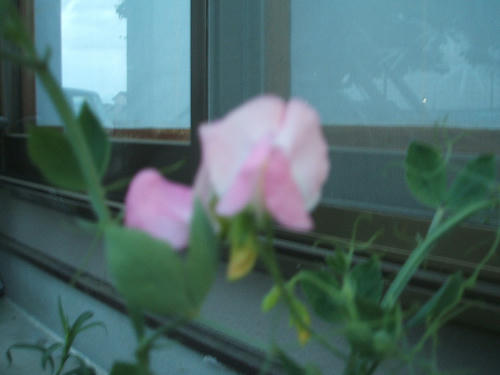 09052313.DSCF0014.JPG