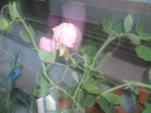 09052313.DSCF0008.JPG