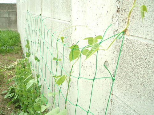 09071910.DSCF0053.JPG