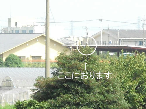 a6dac4de.jpg