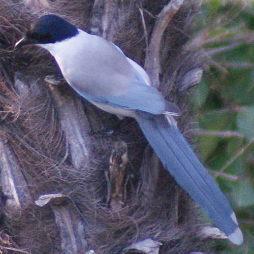 20090206154405.jpg