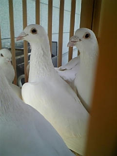 10032013.DVC00003.JPG
