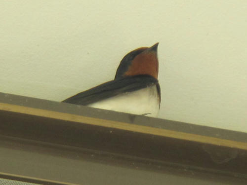 fcef9794.jpg