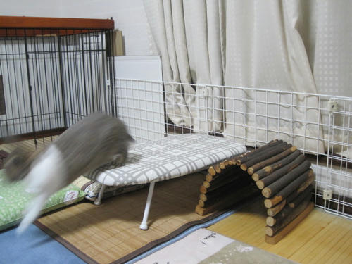 ef3525a9.jpg