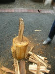 DSCN8775.JPG