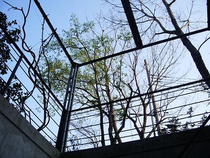 http://blog.cnobi.jp/v1/blog/user/9abcc1bff0ce5936ae981c3123d02930/1239063677