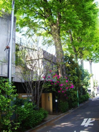 http://blog.cnobi.jp/v1/blog/user/9abcc1bff0ce5936ae981c3123d02930/1303803059