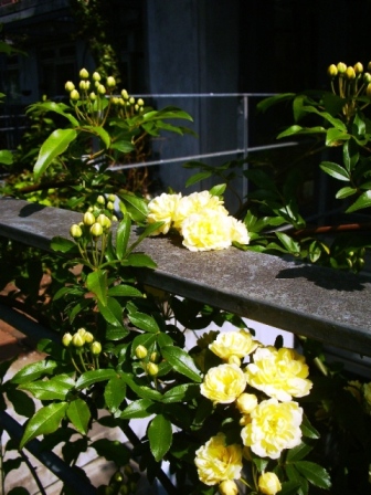http://blog.cnobi.jp/v1/blog/user/9abcc1bff0ce5936ae981c3123d02930/1303803061