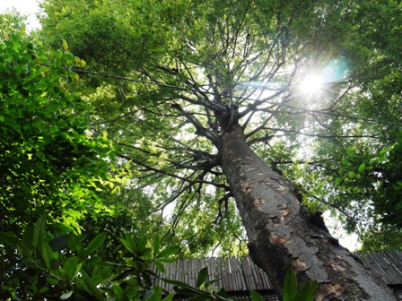 http://blog.cnobi.jp/v1/blog/user/9abcc1bff0ce5936ae981c3123d02930/1308910803