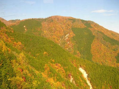 20061101-10.JPG