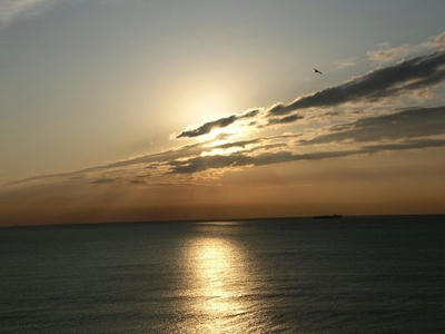 20070104-17
