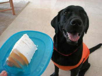 biethdaycake3.JPG