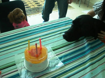 birthdaycake2.JPG
