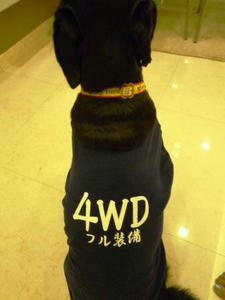 4WDwanta.JPG