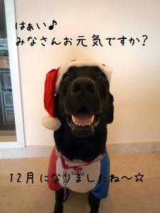 0812021.JPG