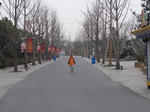 DSC03433_R.JPG