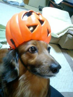 091030_1957~0001.jpg