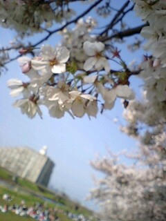 100406_1544~0001.jpg