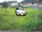 46f92537.jpg