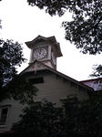 78024230.jpg