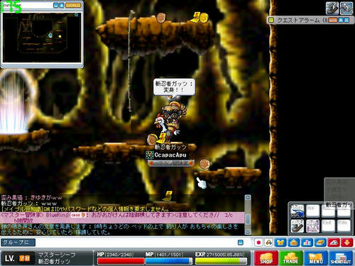 Maple100328_211342.jpg