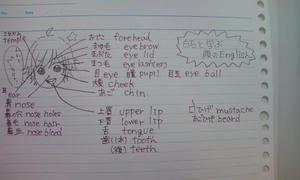 090616_1747~01.jpg