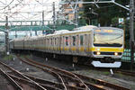 img_153596_976608_0.jpg