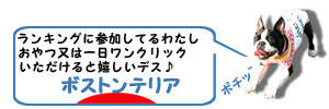 にほ<br /><br />んブログ村 犬ブログ ボストンテリアへ