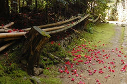 明日香村