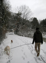 雪散歩