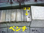 DSC09356.JPG