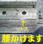 DSC09358.JPG