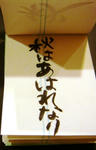 DSC09890.JPG