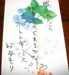 DSC02487.JPG