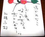 DSC02494.JPG