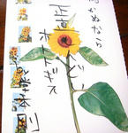 DSC02558.JPG