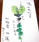 DSC02560.JPG