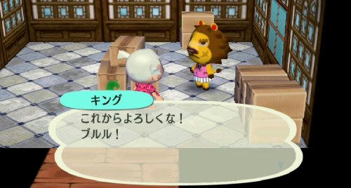 Ruu_0006b.jpg