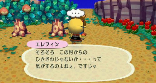 Ruu_0089b.jpg