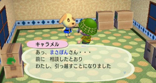 Ruu_0331b.jpg