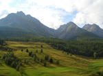 tarasp1