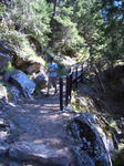 belfort4