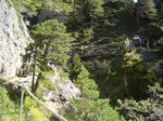 belfort6