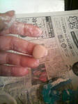 2008022213530000.jpg