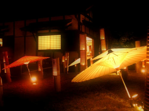 usuki004.jpg
